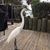 Erin M. Druckenmiller's profile image