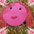 Karima Jalal's profile image
