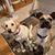 Karen Hamlow's profile image