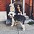Stephanie Bennett's profile image