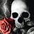 Melody Laird's profile image