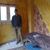 Reda Zena's profile image