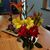 Vicki Schaeffer Holovach's profile image