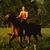 Valerie Voigt's profile image