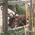 Andrew Martin Hawk's profile image