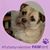 Brenda Quillen Dunn's profile image