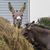 Kris Renee Murphy's profile image