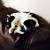 Margaret Kuhn Sindel's profile image