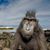 Troy Harding's profile image