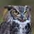 Thomas King's profile image