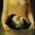 Chuck Cleaver's profile image