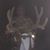 Zack Thornton's profile image