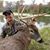 Rocky L. Horn's profile image