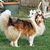 Sandra Meissnest's profile image