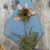 Christi Campbell's profile image