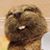 Roberta Fahr's profile image