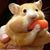 Michele Patrizio Shumate's profile image