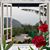 Dora Clavel's profile image