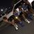 Monteria White's profile image