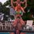Liz Wibright's profile image