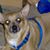 Becky Lynn Irvin-Underhill's profile image