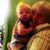 Cheryl Warner Wiseman's profile image
