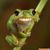 Serena Stephens's profile image
