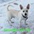 Rhonda McCormick Miller's profile image