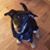 JoAnn Piechuta's profile image