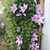 Sharon Brown Miller's profile image