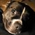 Stephen Van Lowe's profile image