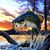 Paul Phillips's profile image