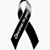 Antonio Campos's profile image