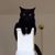 Jan Marie's profile image