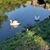 Amy L. Hurst's profile image