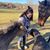 Jesslynn Miles's profile image