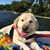 Katie Lang Martin's profile image
