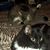 Cathy Sullins's profile image