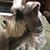 Jackie Walker's profile image