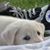 Lee Figel's profile image