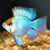 Pamela Mitchell's profile image