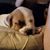 Ellen Salsman's profile image