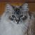 Linda Spranger Jetty's profile image