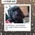Laura Salasek's profile image
