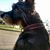 Victoria Lutz's profile image
