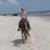 Pegi Drake Hughes's profile image