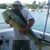 Mike Bibler's profile image