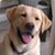 Nancy Lee Augsbach's profile image