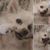 Tracy Bush's profile image