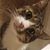 Jim Schorn's profile image